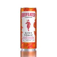 Beefeater RTD Blood Orange Gin & Tonic 4,9% 0,25L